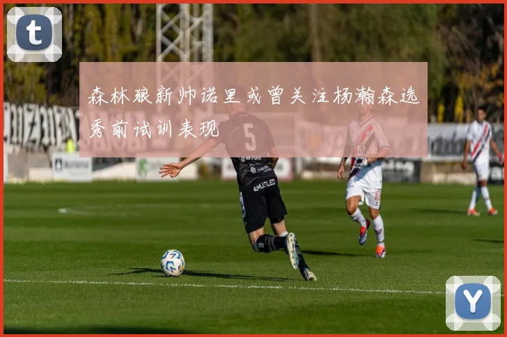 森林狼新帅诺里或曾关注杨瀚森选秀前试训表现