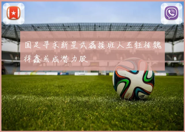 国足寻求新星武磊接班人王钰栋魏祥鑫或成潜力股